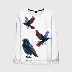 Мужской свитшот Вороны