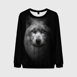 Свитшот мужской Суровый волк с холодным нордическим взглядом, цвет: 3D-черный