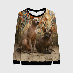 Мужской свитшот Петерболды сидят на фоне стены с граффити