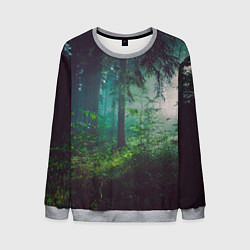 Свитшот мужской Таинственный лес, цвет: 3D-меланж