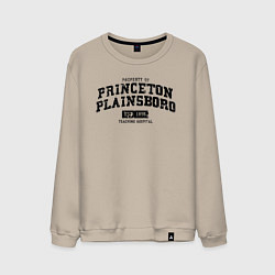 Мужской свитшот Princeton Plainsboro