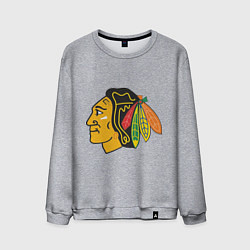 Свитшот хлопковый мужской Chicago Blackhawks: Kane, цвет: меланж