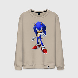 Мужской свитшот ЁЖ Соник