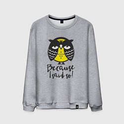 Свитшот хлопковый мужской Owl: Because I said so!, цвет: меланж