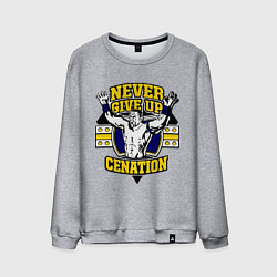 Свитшот хлопковый мужской Never Give Up: Cenation, цвет: меланж