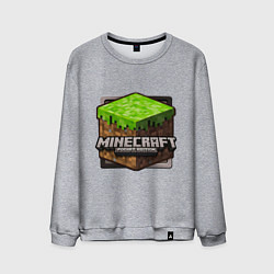 Свитшот хлопковый мужской Minecraft: Pocket Edition, цвет: меланж