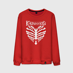 Свитшот хлопковый мужской Кукрыниксы, цвет: красный