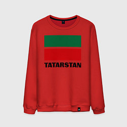 Свитшот хлопковый мужской Флаг Татарстана, цвет: красный