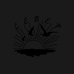 Свитшот хлопковый мужской Север, цвет: черный — фото 2