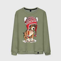 Свитшот хлопковый мужской Чихуахуа в шапочке, цвет: авокадо