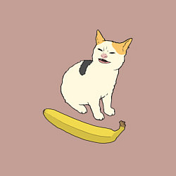 Свитшот хлопковый мужской Cat no banana meme, цвет: пыльно-розовый — фото 2