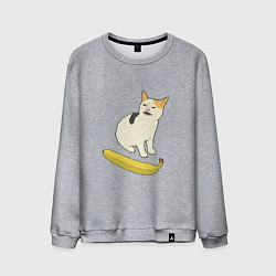 Мужской свитшот Cat no banana meme