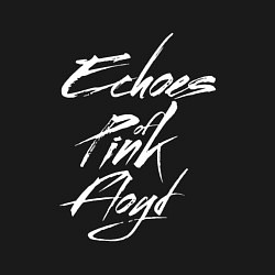 Свитшот хлопковый мужской Echoes of Pink Floyd, цвет: черный — фото 2