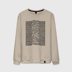 Мужской свитшот Unknown Pleasures