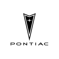Свитшот хлопковый мужской Pontiac logo, цвет: белый — фото 2
