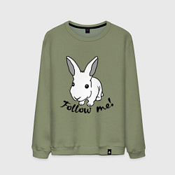 Мужской свитшот Rabbit: follow me
