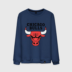 Свитшот хлопковый мужской Chicago Bulls, цвет: тёмно-синий