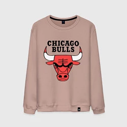 Свитшот хлопковый мужской Chicago Bulls, цвет: пыльно-розовый