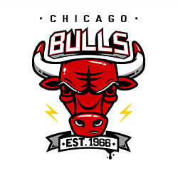 Свитшот хлопковый мужской Chicago Bulls est. 1966, цвет: белый — фото 2