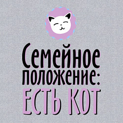 Свитшот хлопковый мужской Семейное положение: есть кот, цвет: меланж — фото 2