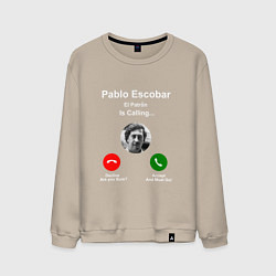 Мужской свитшот Escobar is calling