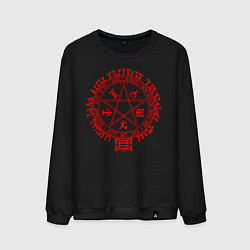 Свитшот хлопковый мужской Alucard Pentagram, цвет: черный