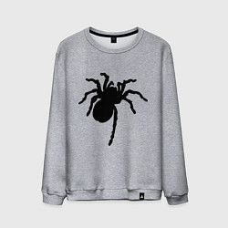 Свитшот хлопковый мужской Черный паук цвета меланж — фото 1