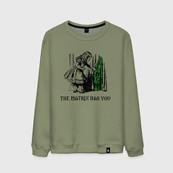 Мужской свитшот Matrix Alice