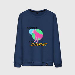 Мужской свитшот Привет я из internet