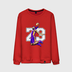 Мужской свитшот Леброн Джеймс