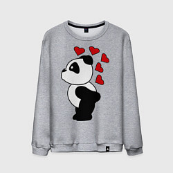 Мужской свитшот Поцелуй панды: для него