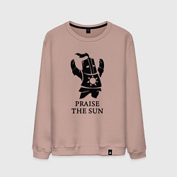 Мужской свитшот Praise the Sun