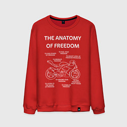 Свитшот хлопковый мужской The Anatomy of Freedom, цвет: красный