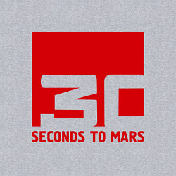 Свитшот хлопковый мужской 30 seconds to mars, цвет: меланж — фото 2