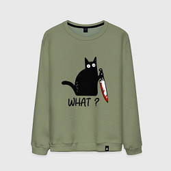 Мужской свитшот What cat