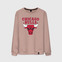 Свитшот хлопковый мужской CHICAGO BULLS, цвет: пыльно-розовый