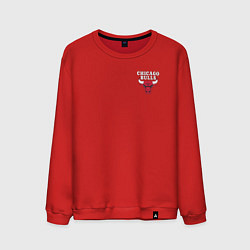 Свитшот хлопковый мужской CHICAGO BULLS, цвет: красный