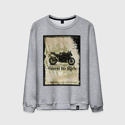 Мужской свитшот Born to Ride