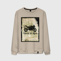 Мужской свитшот Born to Ride