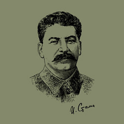 Свитшот хлопковый мужской Товарищ Сталин, цвет: авокадо — фото 2