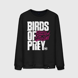 Свитшот хлопковый мужской Birds of Prey logo, цвет: черный