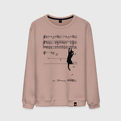 Мужской свитшот Music cat