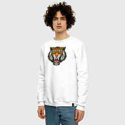 Свитшот хлопковый мужской Тигр, цвет: белый — фото 2