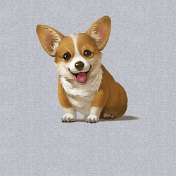 Свитшот хлопковый мужской КОРГИ, цвет: меланж — фото 2