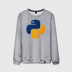 Мужской свитшот Python