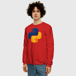 Свитшот хлопковый мужской Python, цвет: красный — фото 2