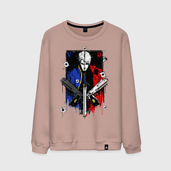 Мужской свитшот DMC