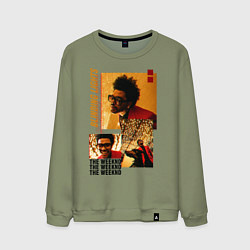 Свитшот хлопковый мужской BLINDING LIGHTS, цвет: авокадо