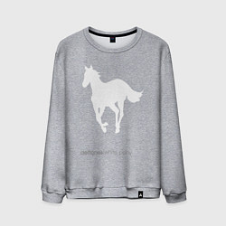 Мужской свитшот White Pony