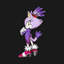 Свитшот хлопковый мужской SONIC Кошка Блейз, цвет: черный — фото 2